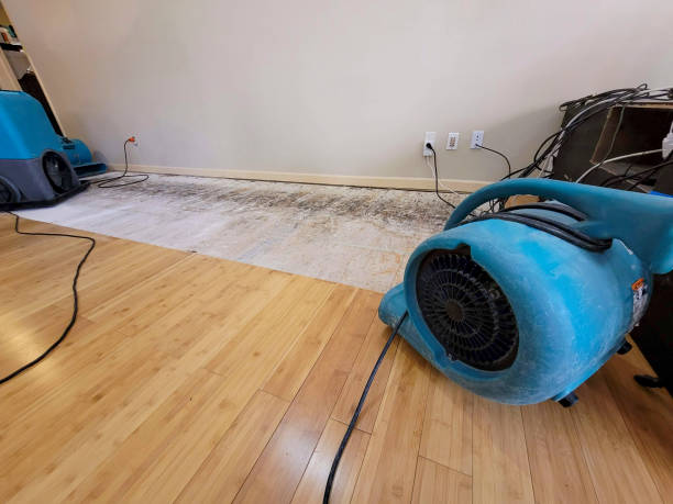 Professional Flood Damage Cleanup technician working in Villa Ridge, MO